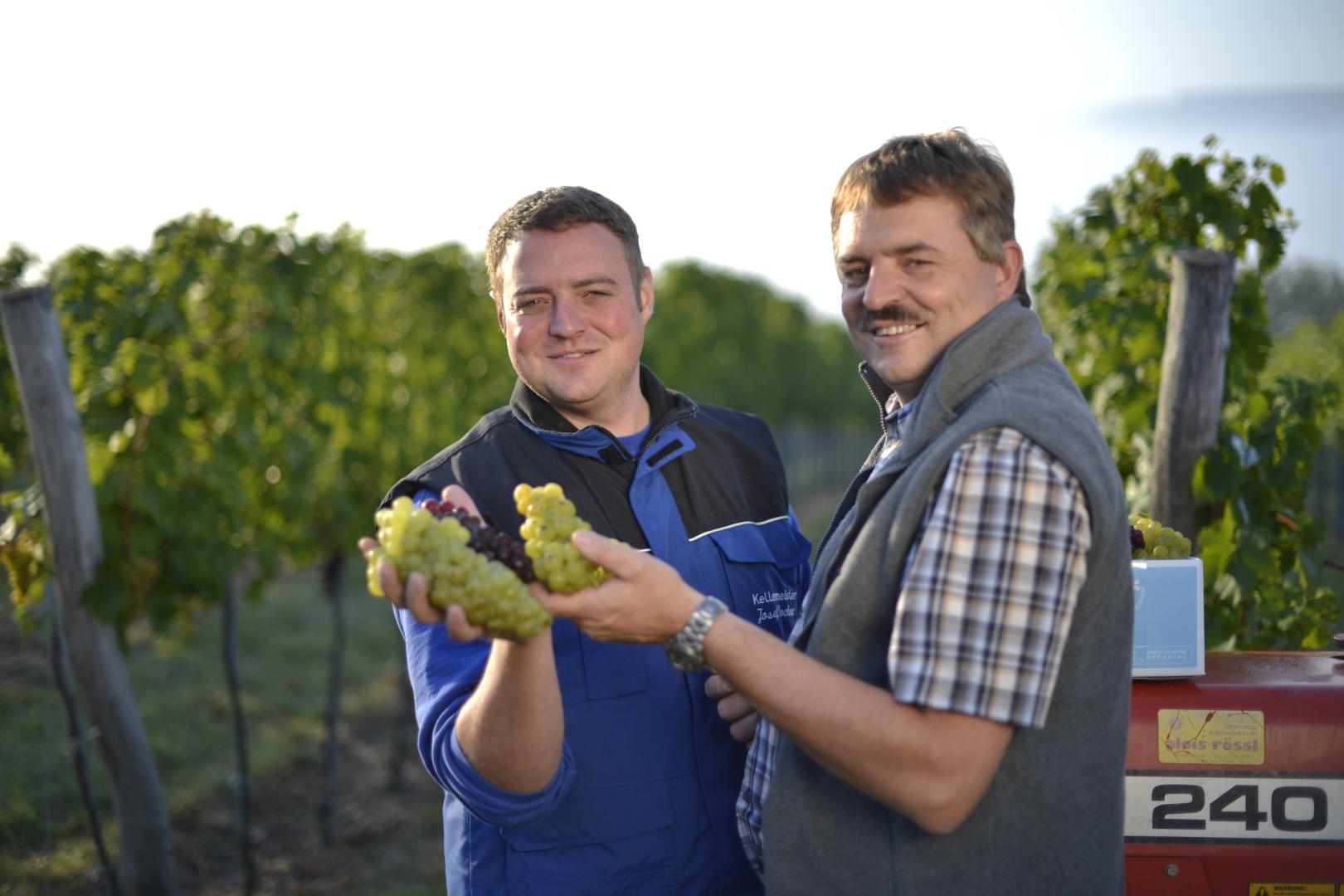 Winzerhof Familie Dockner Winzerhof Familie Dockner