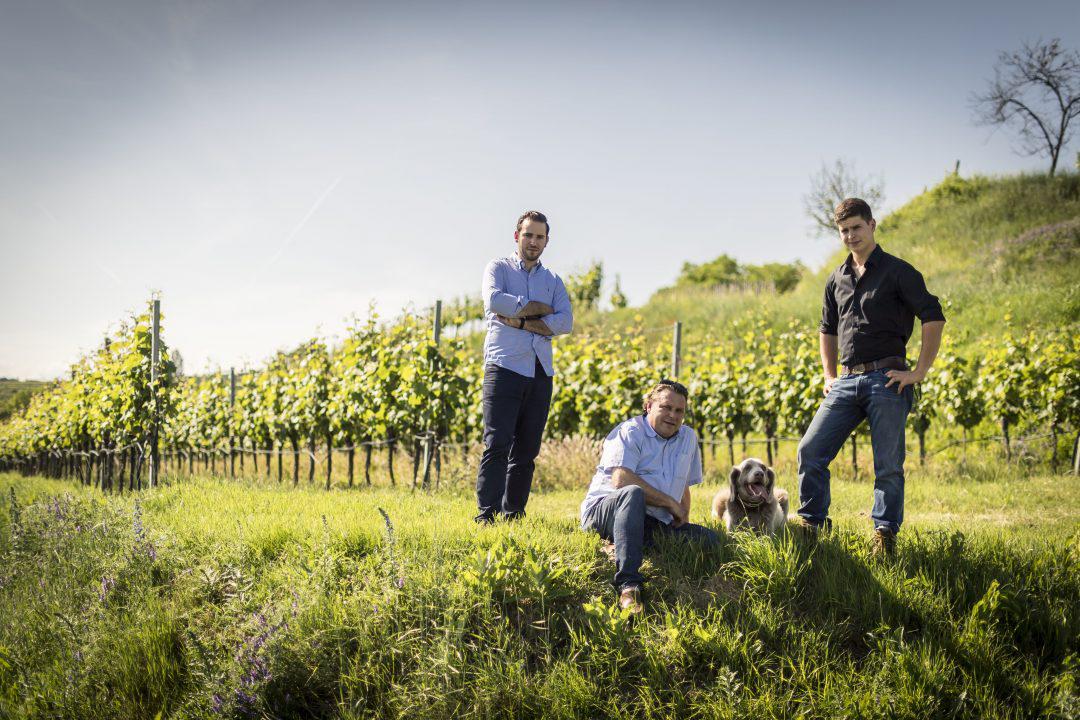 Weingut Johann Topf Weingut Johann Topf